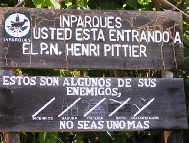 Reforestación En El Parque Nacional Henri Pittier Siembran 200 Árboles En Aragua El Clarin 4430