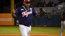 tigres de aragua