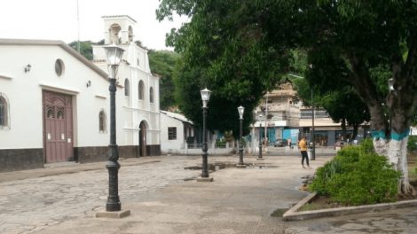 cadáver en descomposición