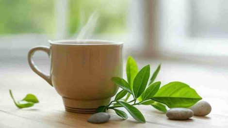 Una taza de té verde humeante en un fondo minimalista y limpio, rodeada de hojas frescas de té, con un toque de naturaleza como piedras suaves o madera natural. La imagen transmite bienestar, salud y relajación, con un ambiente luminoso y colores verdes predominantes. Ideal para ilustrar un artículo sobre los beneficios del té para la pérdida de peso