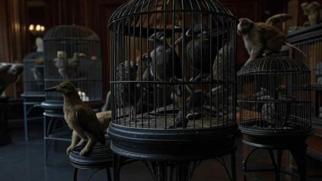 Investigan hotel en Bolívar por exhibición ilegal de fauna. Imagen AI