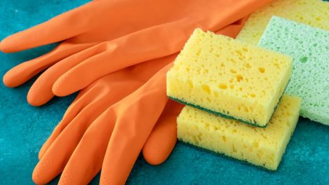 Esponja y guantes