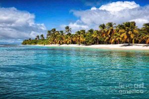 morrocoy