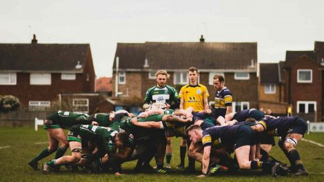 equipo de rugby