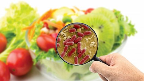 parásitos en los alimentos