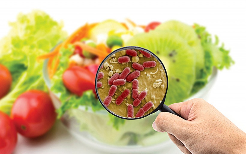 parásitos en los alimentos