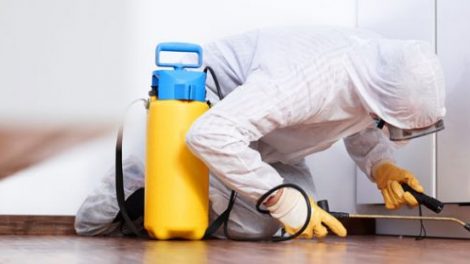 Hombre desinfectando el hogar