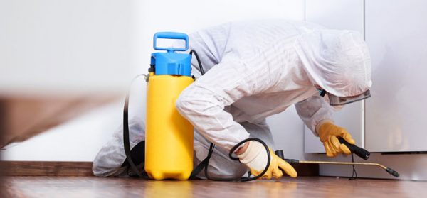 Hombre desinfectando el hogar