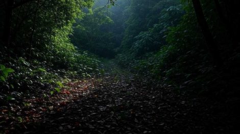 Mujer murió en ritual religioso en Yaracuy