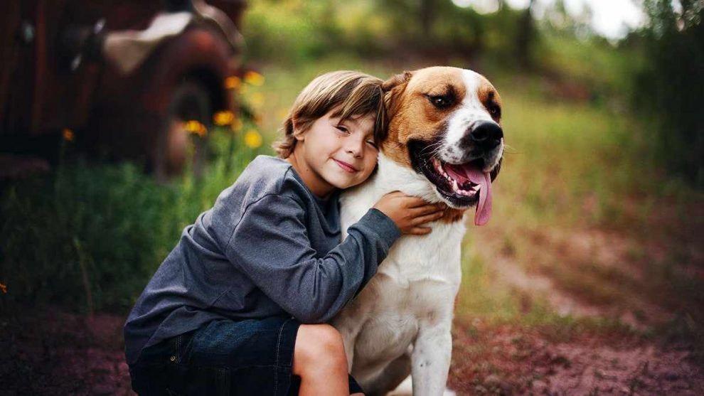 niño y perro