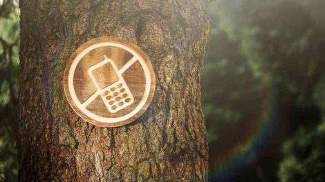 prohibido el celular