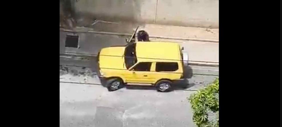 Funcionarios de PoliChacao y PNB protagonizan incidente