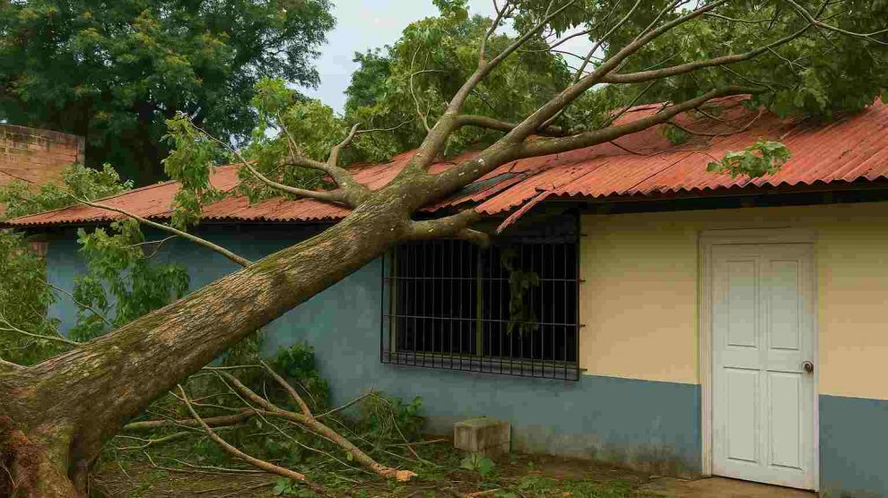 • Dimensiones: 1200 x 675 píxeles • Peso: 73,3 KB (dentro del límite de 100 KB) • Estilo: Fotografía realista Tema: Un árbol caído en el techo de una casa em Valencia, Venezuela.