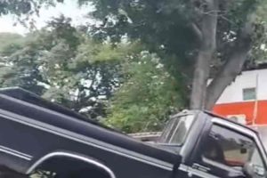 Se cayó un árbol frente al Obelisco de San Jacinto en Maracay