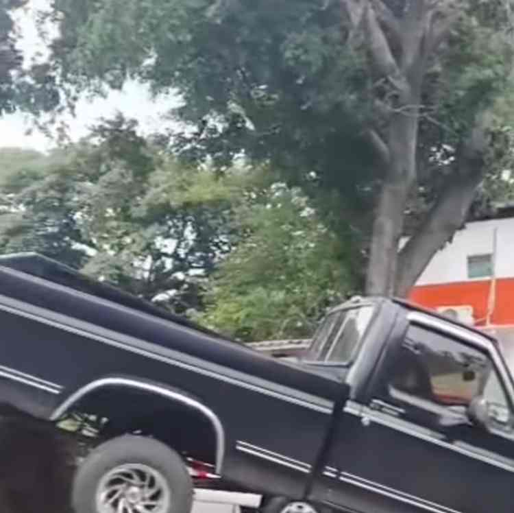 Se cayó un árbol frente al Obelisco de San Jacinto en Maracay