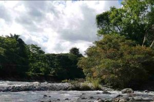 Rio La Acequia Barinas