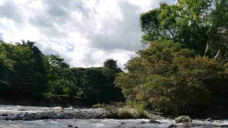 Rio La Acequia Barinas