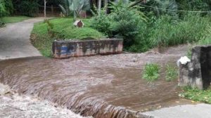 Alerta Temprana en El Limón por crecida de quebradas