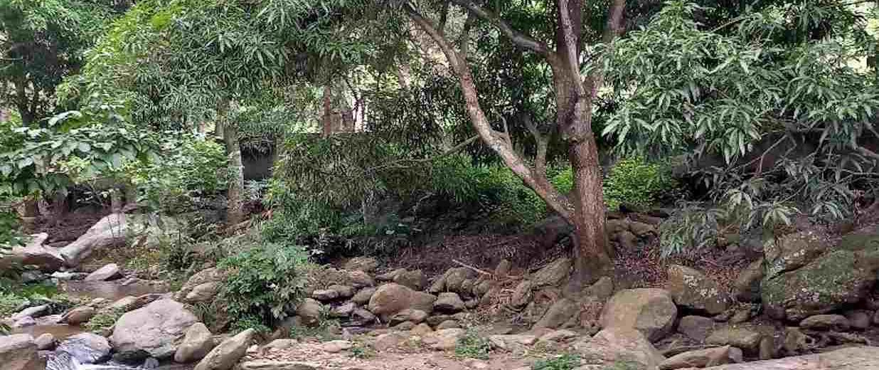 desaparición de senderista en Vigirima