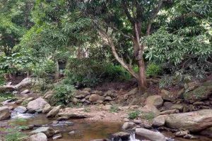 desaparición de senderista en Vigirima