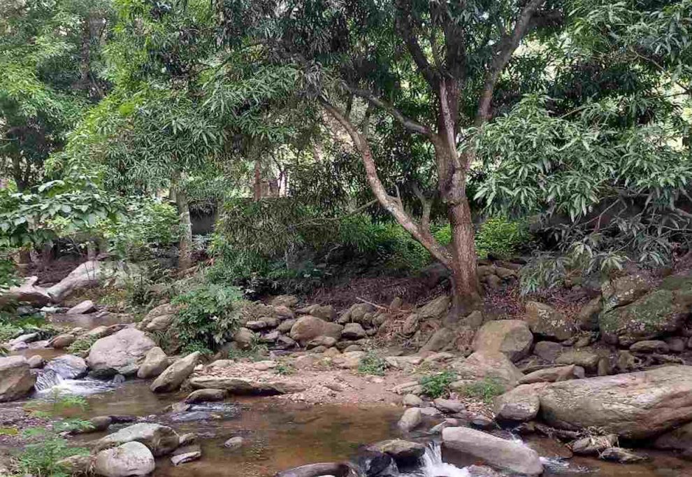 desaparición de senderista en Vigirima