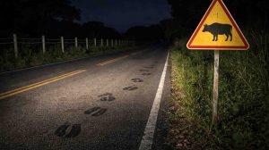 accidente en una carretera.