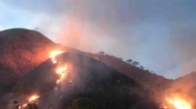 incendio forestal en el Parque Nacional Henry Pittier fue controlado