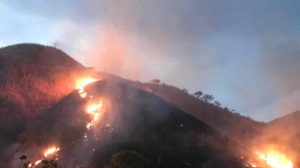 incendio forestal en el Parque Nacional Henry Pittier fue controlado