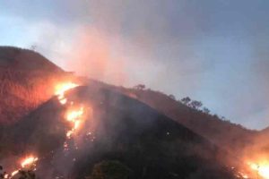 incendio forestal en el Parque Nacional Henry Pittier fue controlado