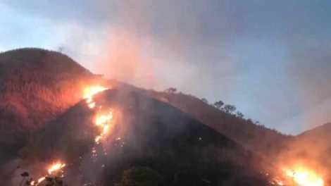 incendio forestal en el Parque Nacional Henry Pittier fue controlado