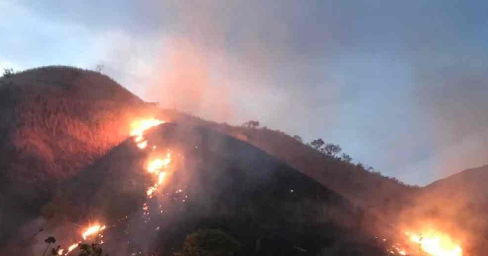incendio forestal en el Parque Nacional Henry Pittier fue controlado