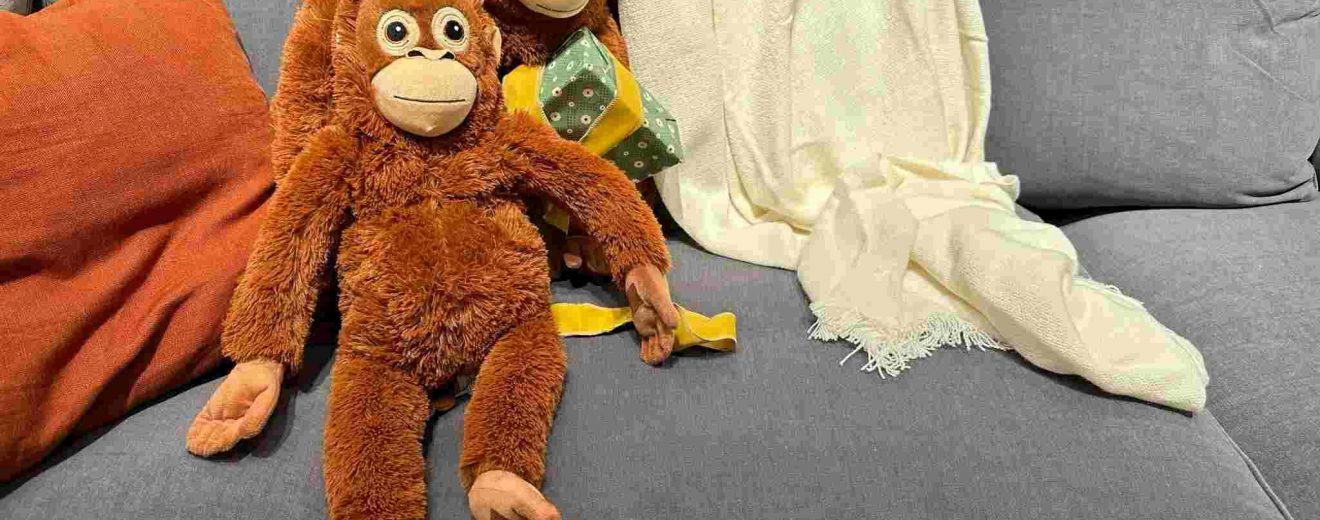 IKEA capitalizó el fenómeno de Punch