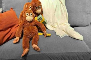 IKEA capitalizó el fenómeno de Punch