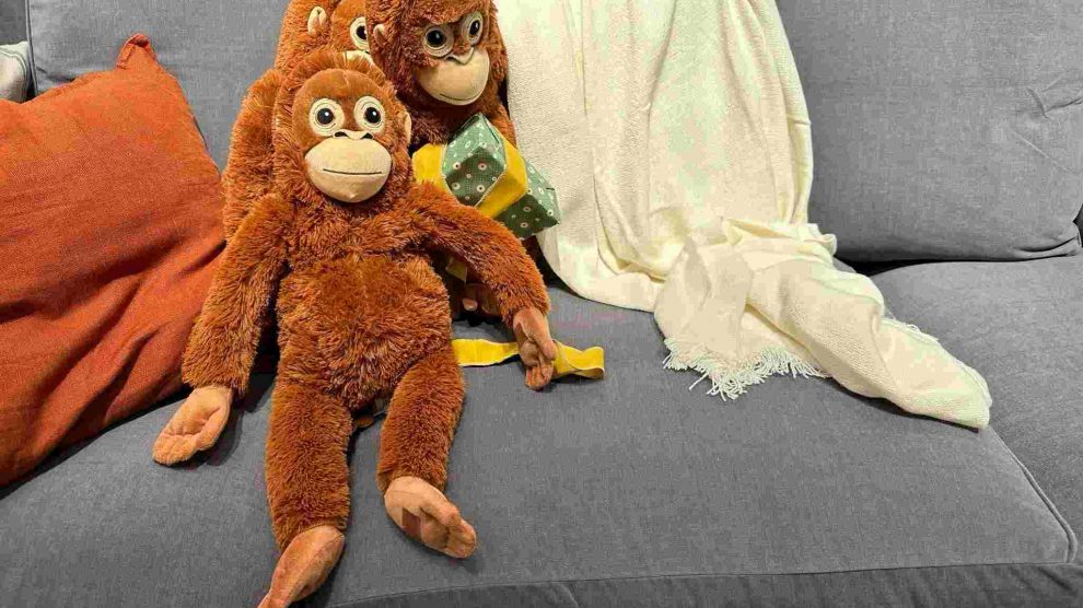 IKEA capitalizó el fenómeno de Punch