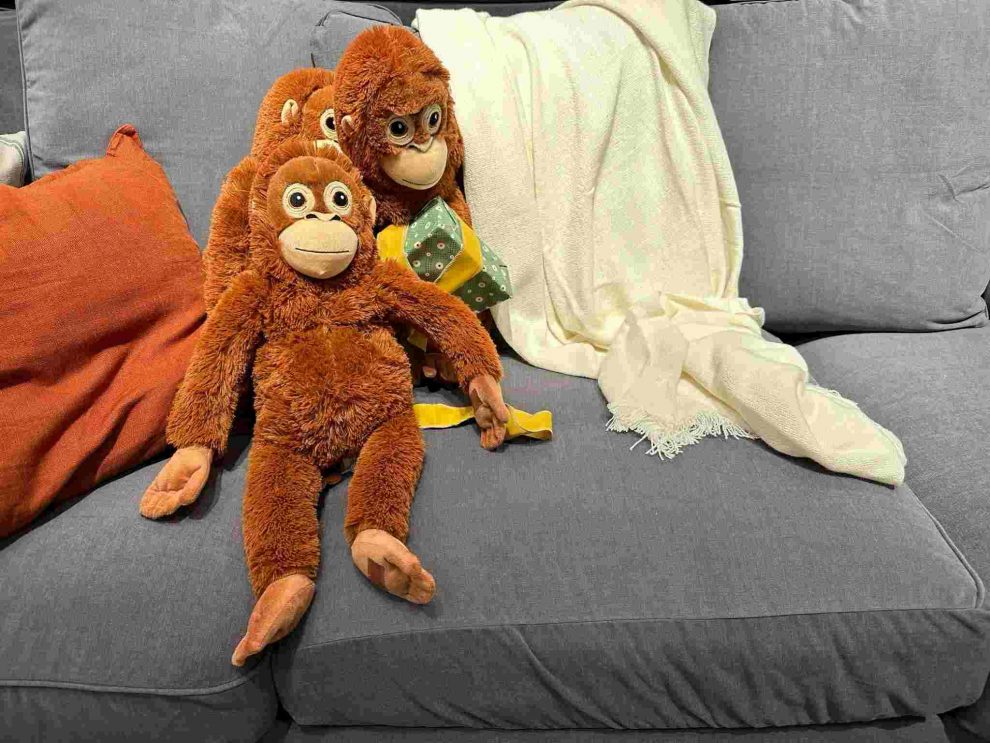 IKEA capitalizó el fenómeno de Punch