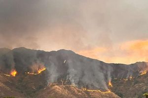 ncendio en el Henri Pittier El Limón