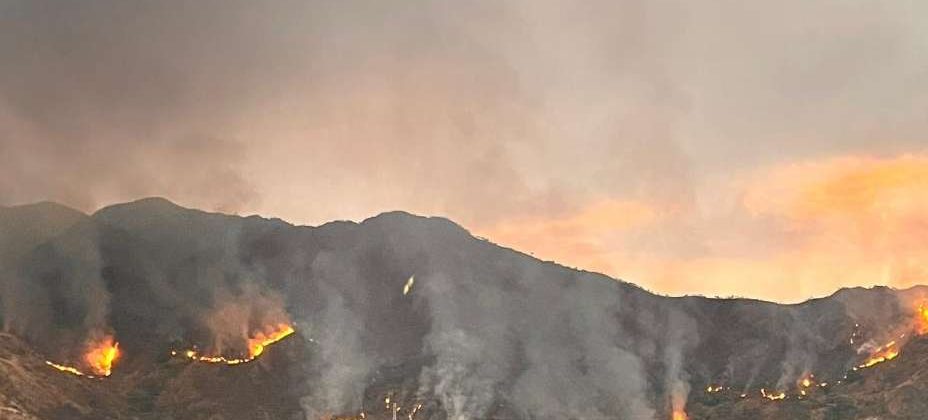 ncendio en el Henri Pittier El Limón