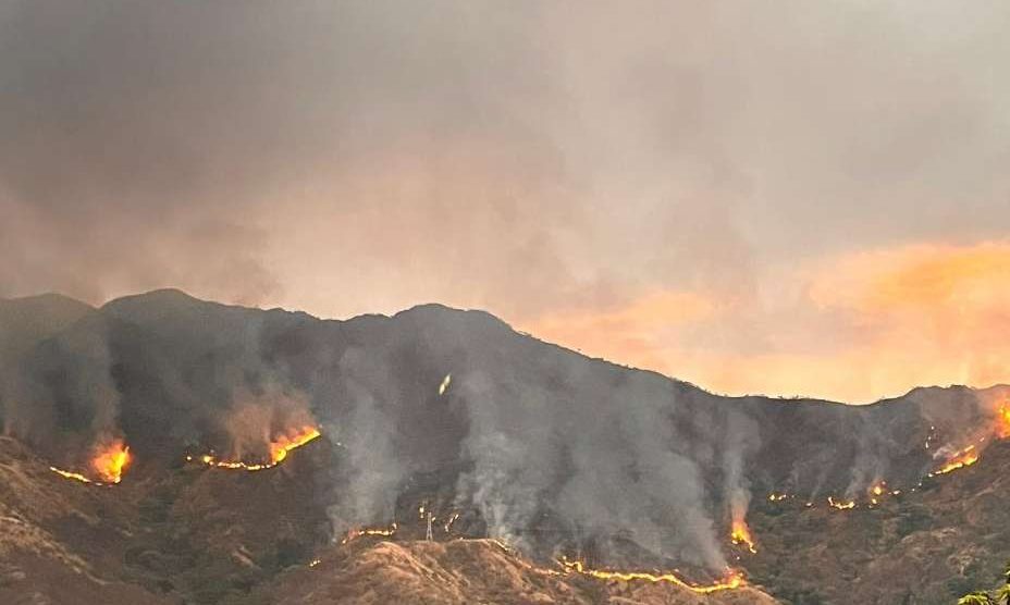 ncendio en el Henri Pittier El Limón