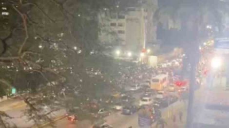 Celebraciones Venezuela campeón Clásico Mundial