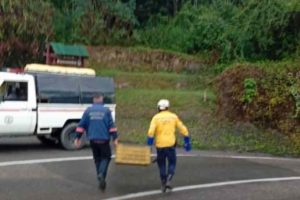Rescatan mono aullador en Guaicaipuro