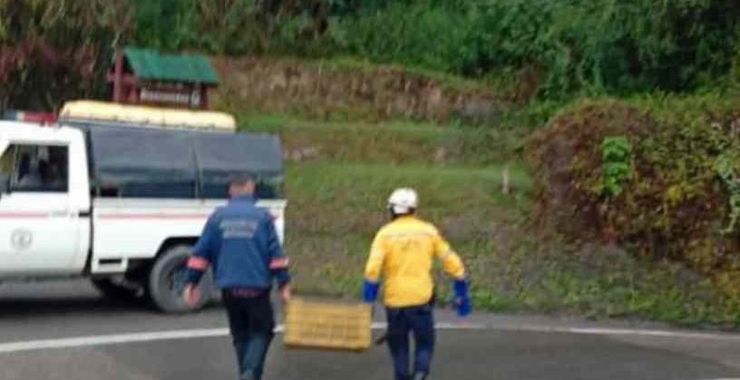 Rescatan mono aullador en Guaicaipuro