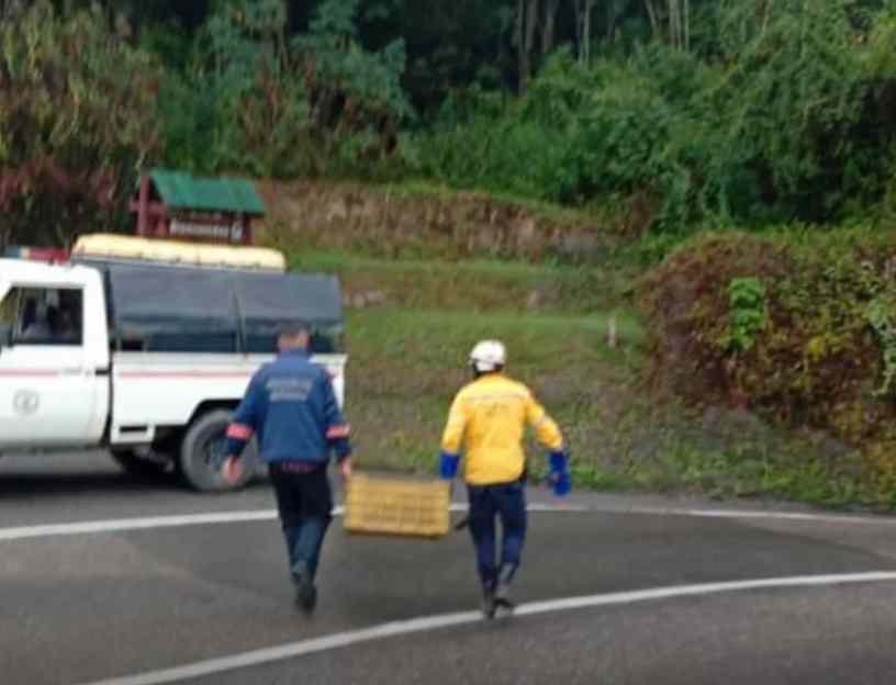 Rescatan mono aullador en Guaicaipuro