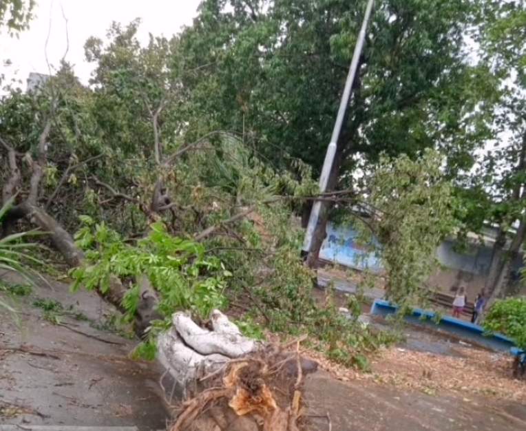 Lluvias La Victoria