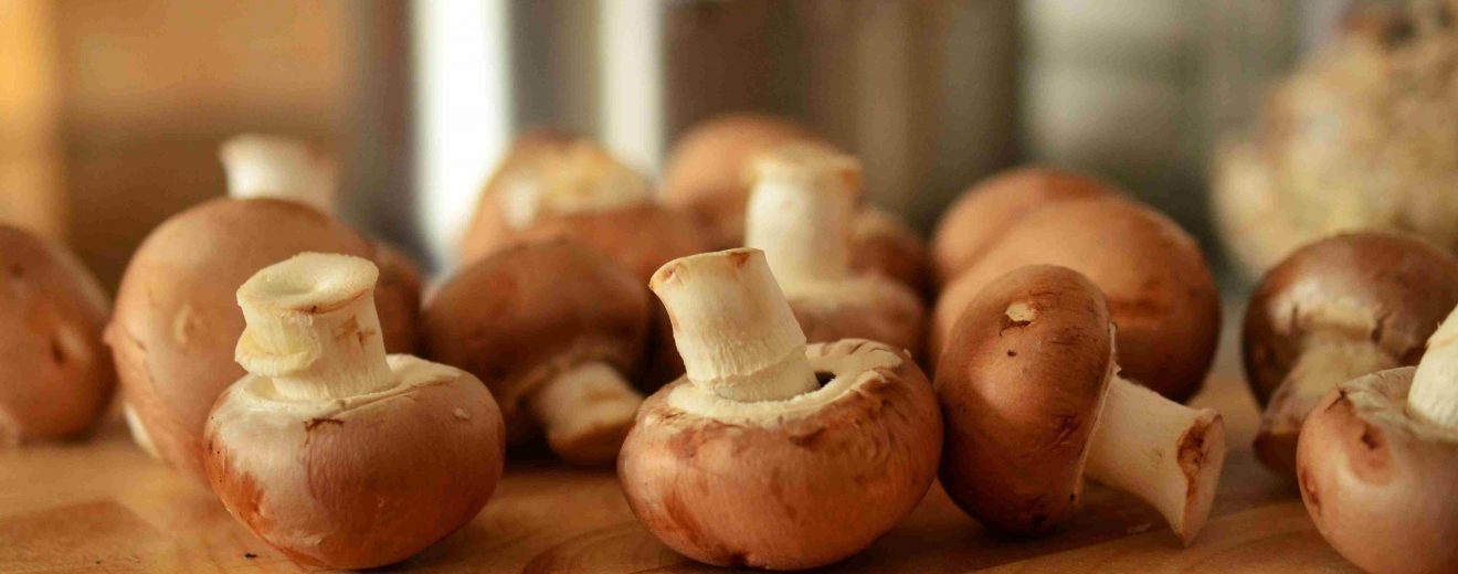 Por favor, restablezcan mi acceso