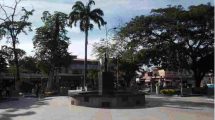 Comerciantes de Palo Negro