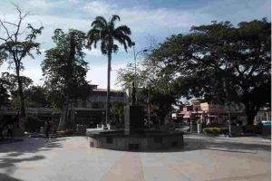 Comerciantes de Palo Negro