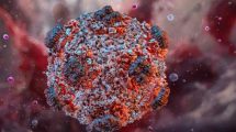 hantavirus