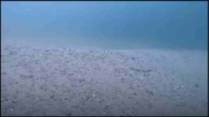 Cambio en el fondo marino de Chichiriviche de la Costa, La Guaira