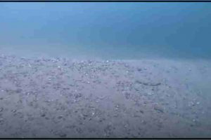 Cambio en el fondo marino de Chichiriviche de la Costa, La Guaira