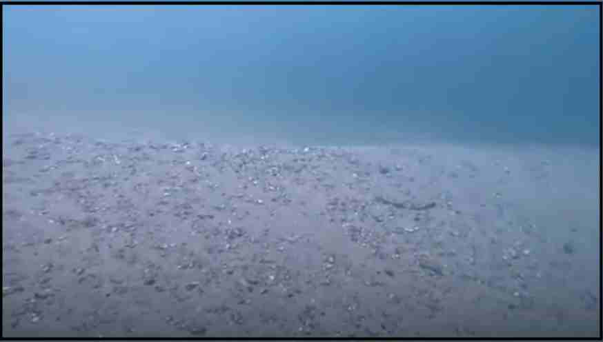 Cambio en el fondo marino de Chichiriviche de la Costa, La Guaira